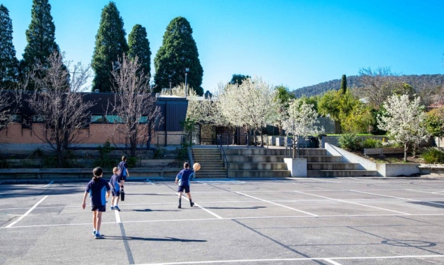 Top Primary Schools in Melbourne